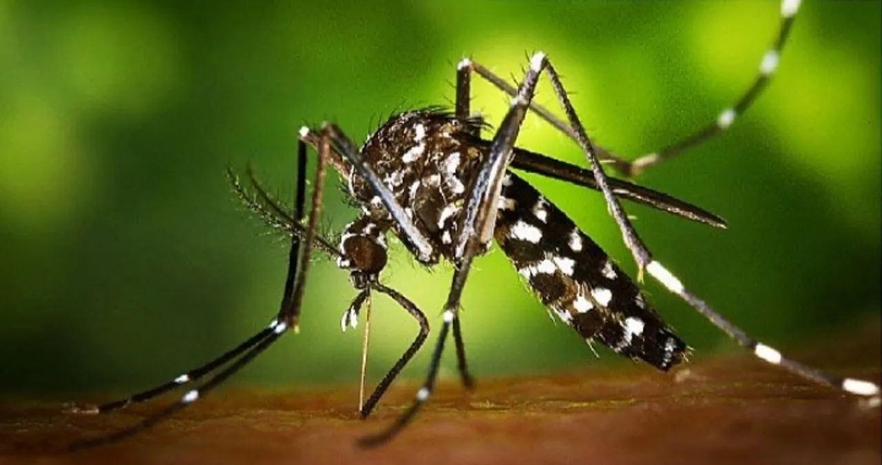 Zika virus Uttar Pradesh
