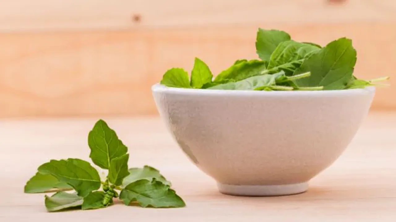 Tulsi
