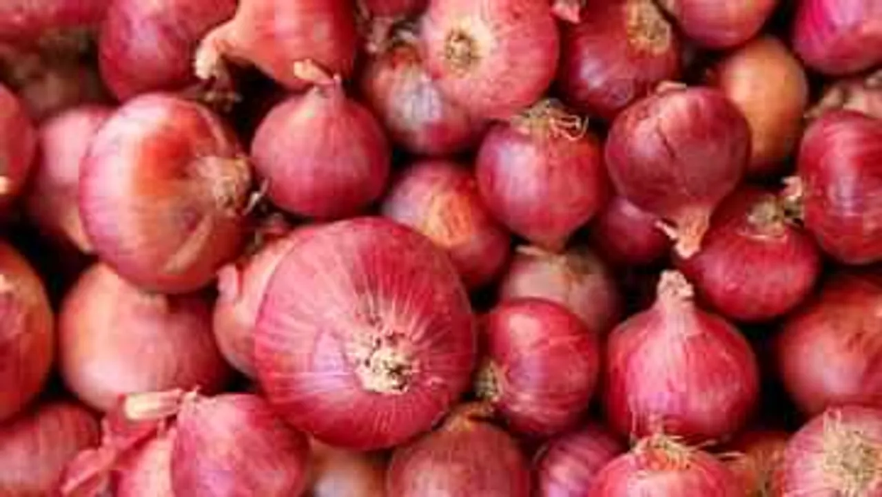 Onion