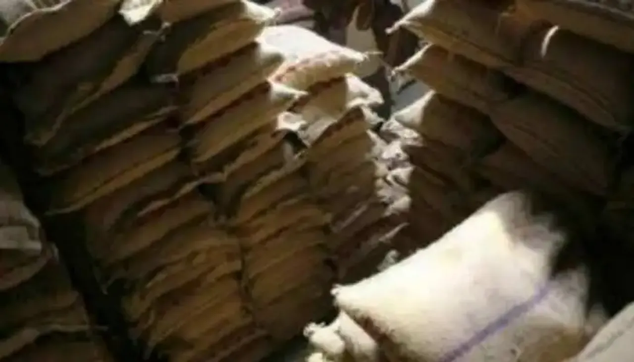 Rice