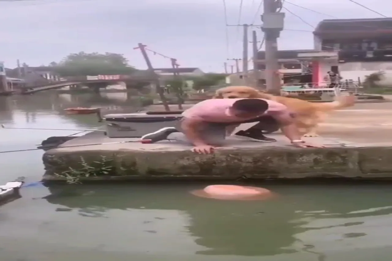 Viral Video