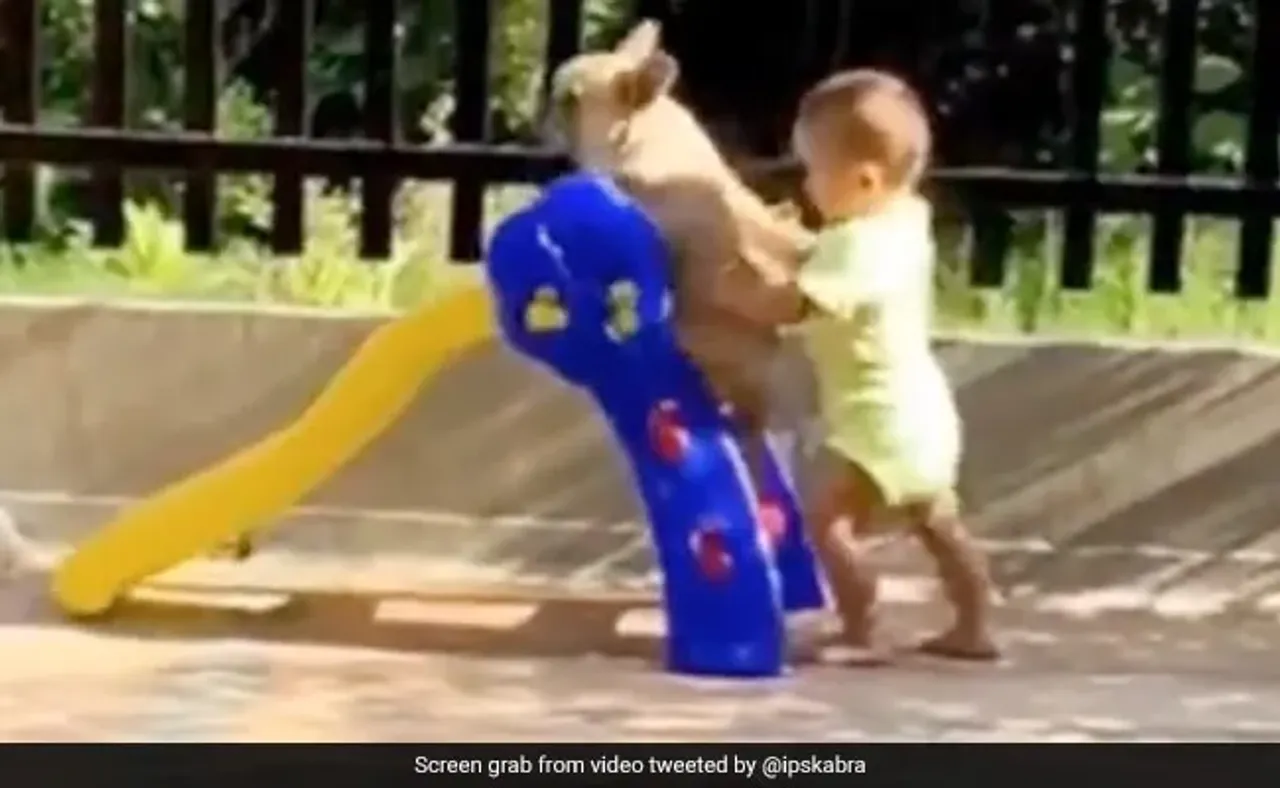 Viral Video