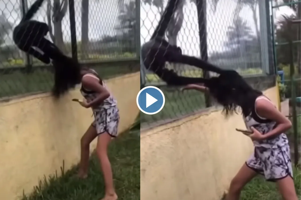 Viral Animal Video