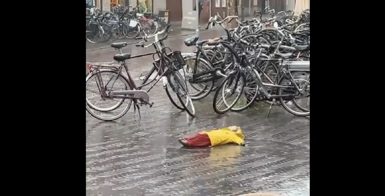 Viral Video