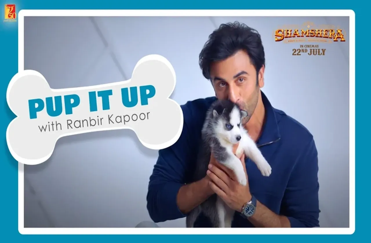 Pup it Up Quiz