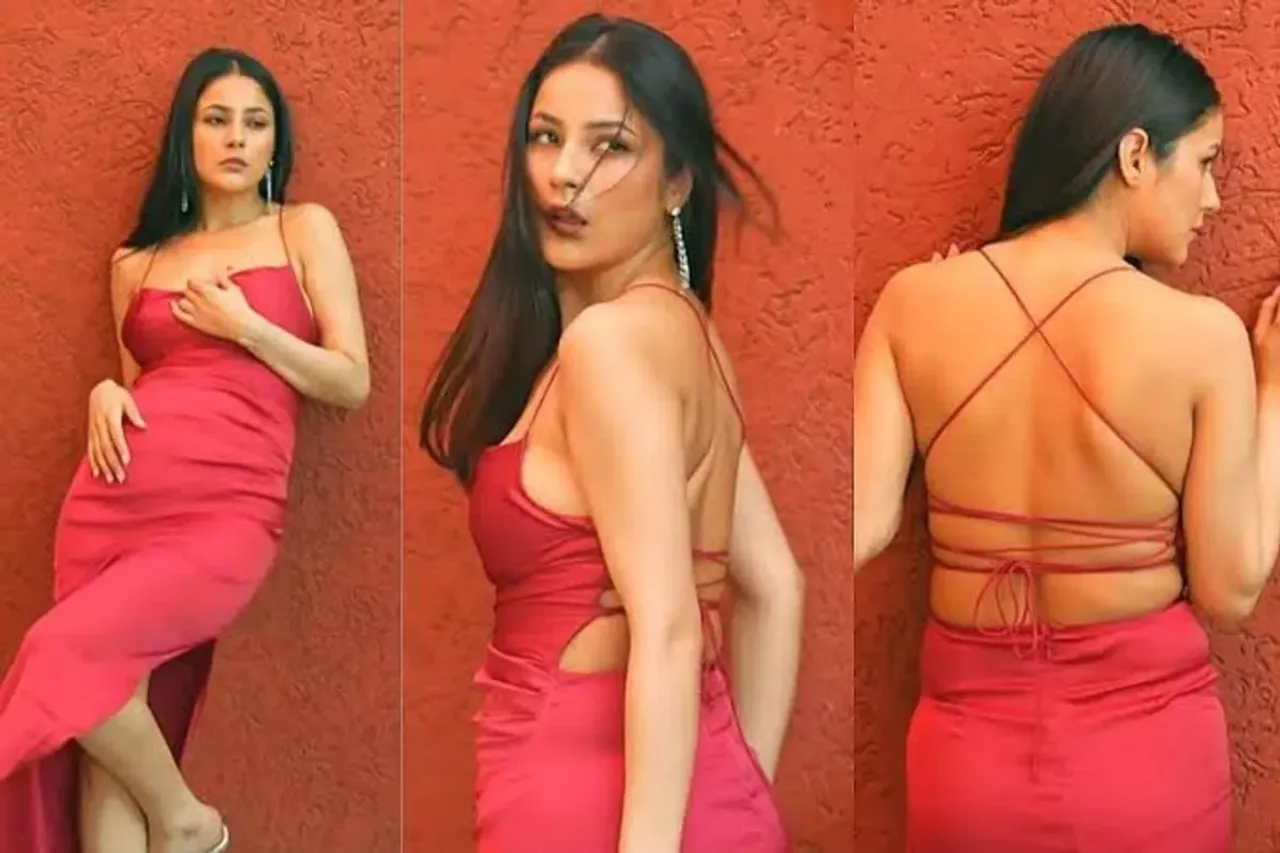 Shehnaaz Gill Video