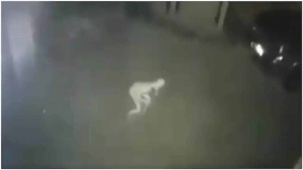 Viral Video