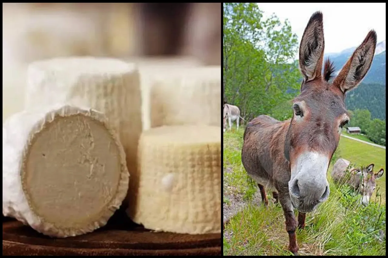 World's Most Expensive Paneer