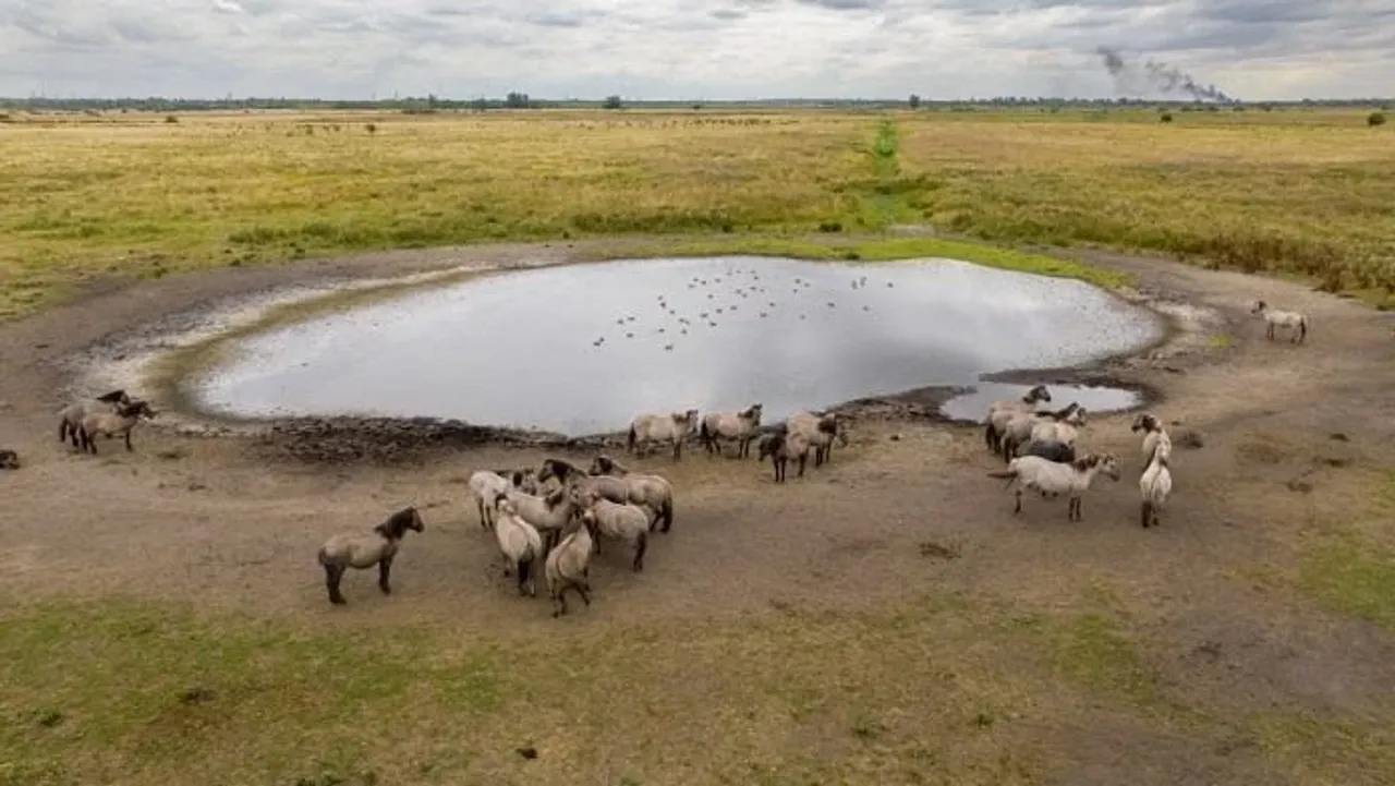 England drought