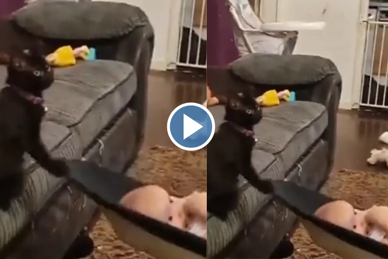 Viral Video
