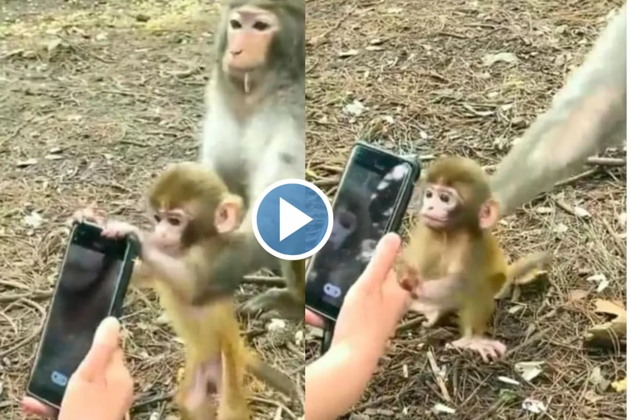 Viral Video