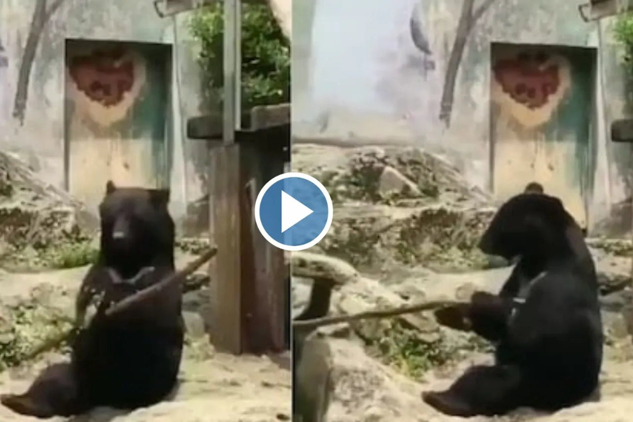 Viral Video