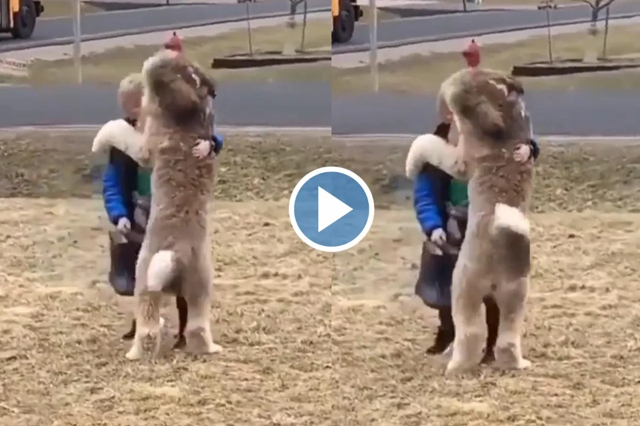 Viral Video