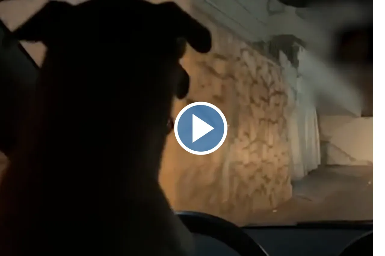 Viral Video