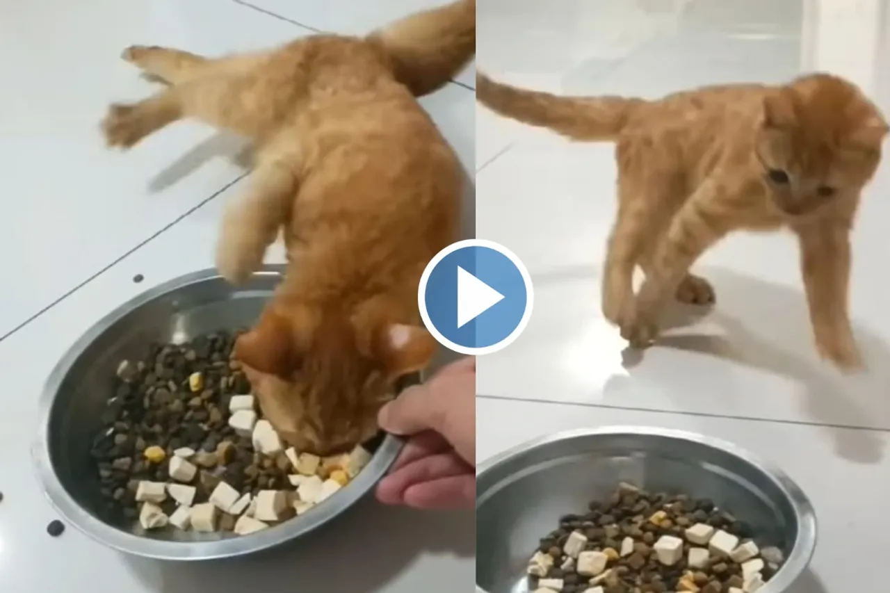 Viral Video