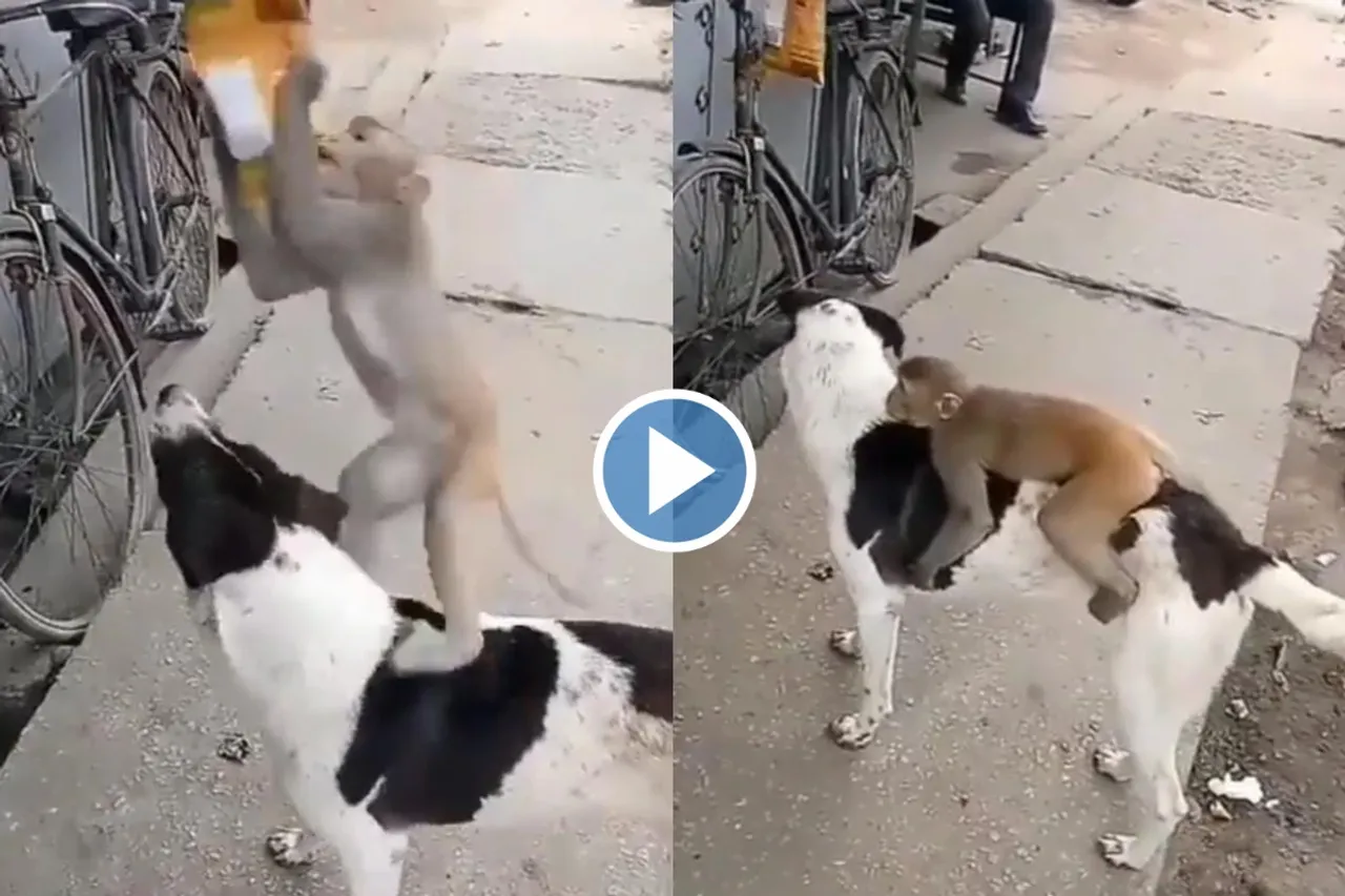 Viral Video