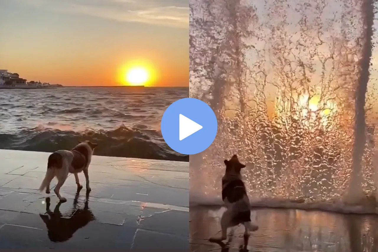 Viral Video