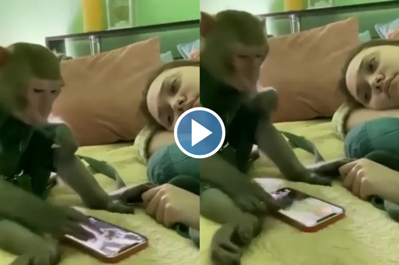 Viral Video