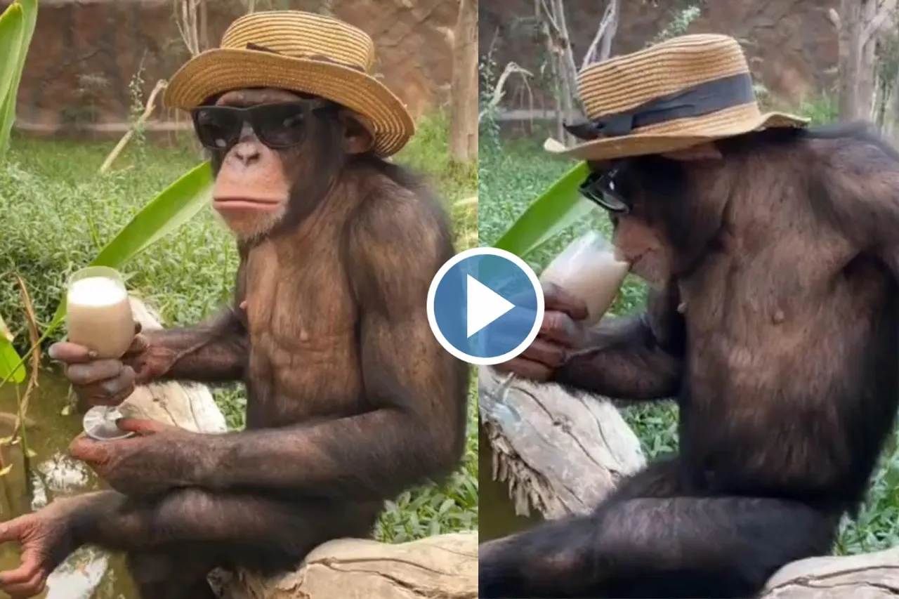 Viral Video