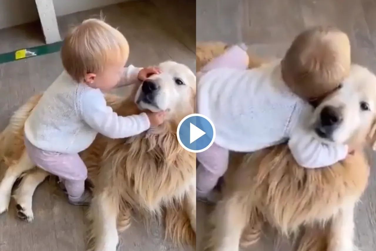 Viral Video: A hug can make a huge difference, the dog's epic reaction to baby's love is worth watching, video here