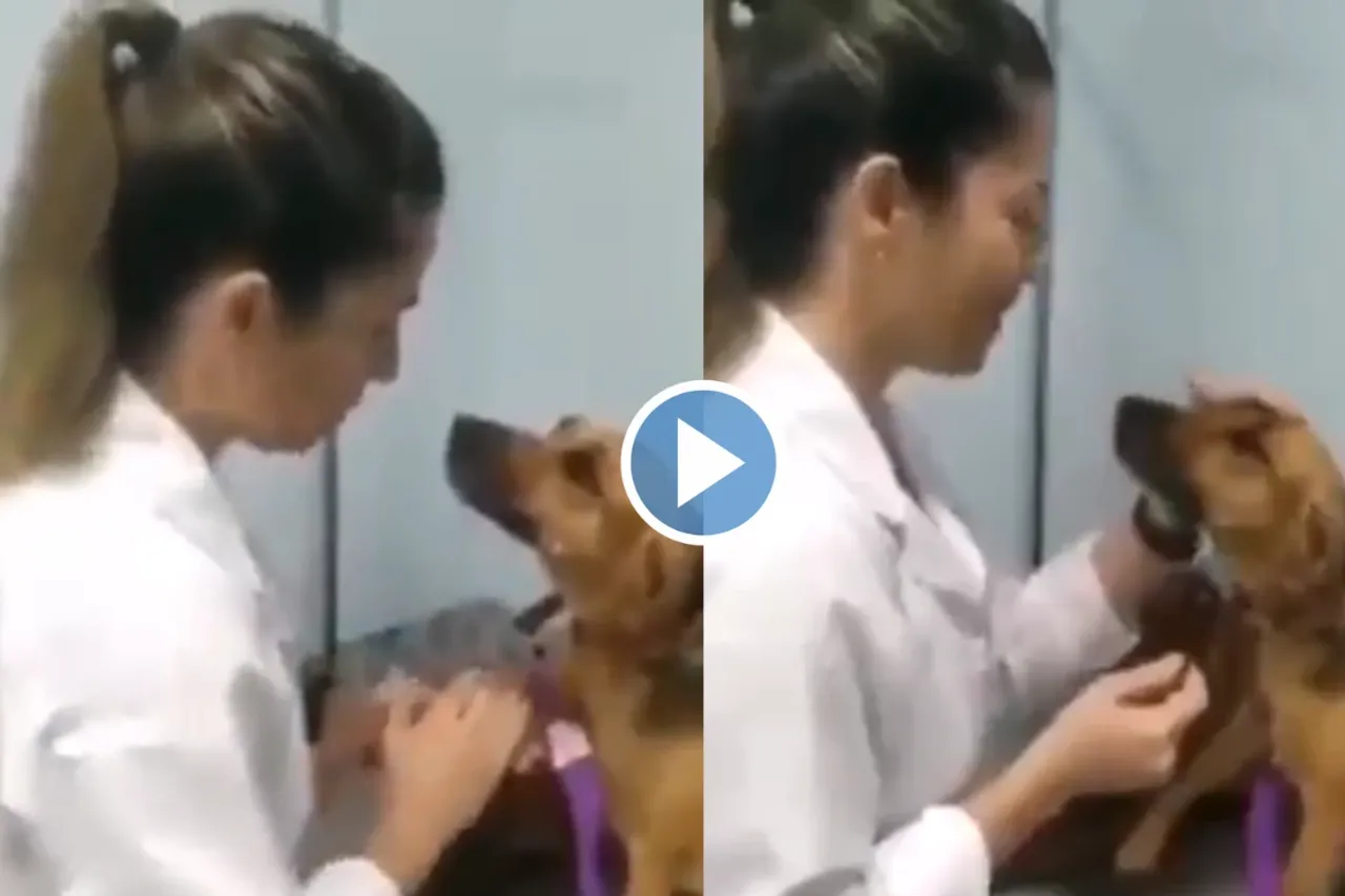 Viral Video