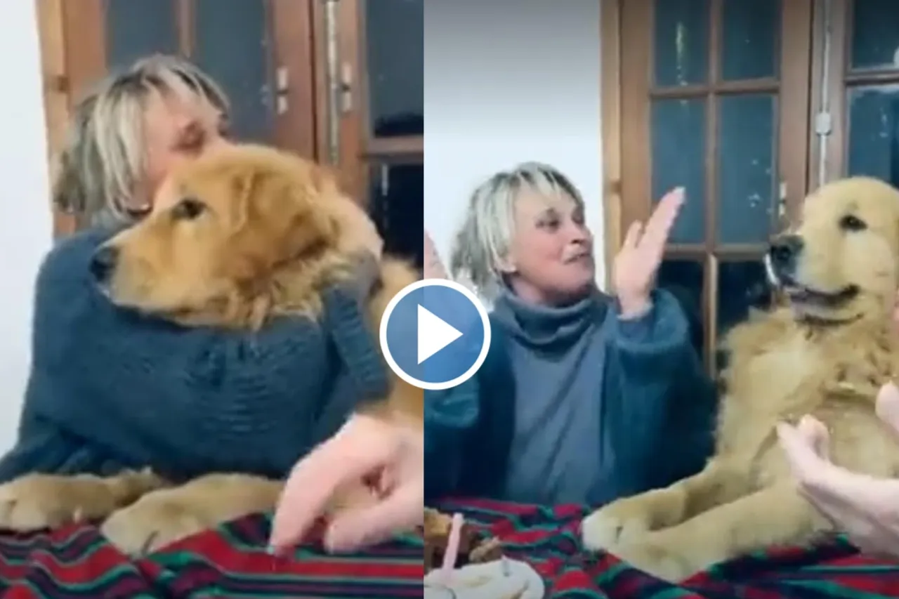 Viral Video