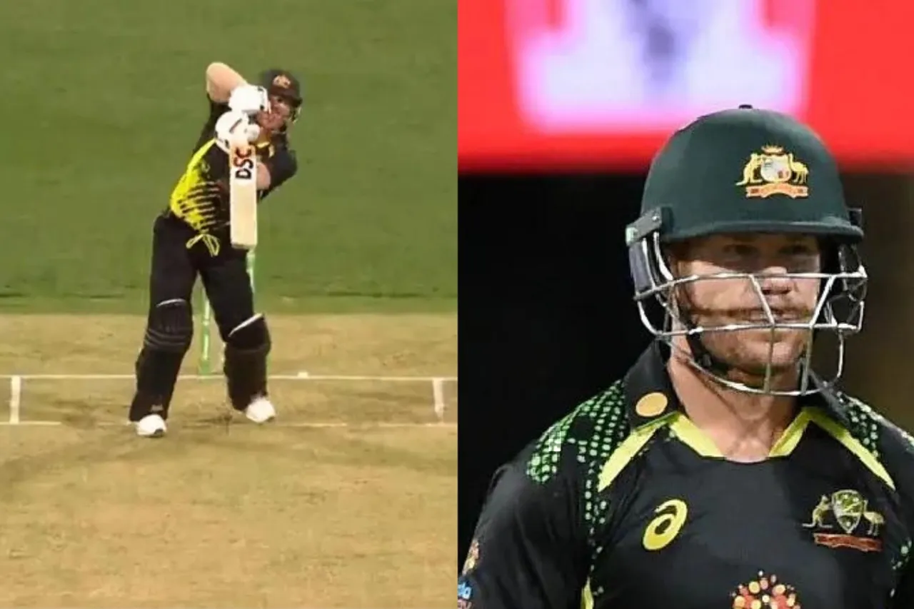David Warner