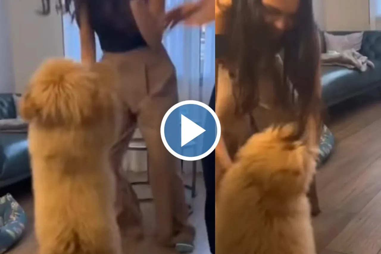 Viral Video