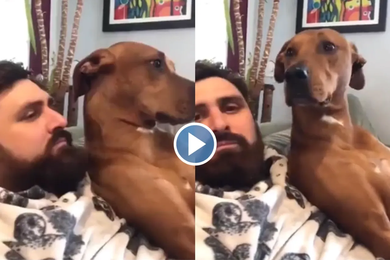 Viral Video