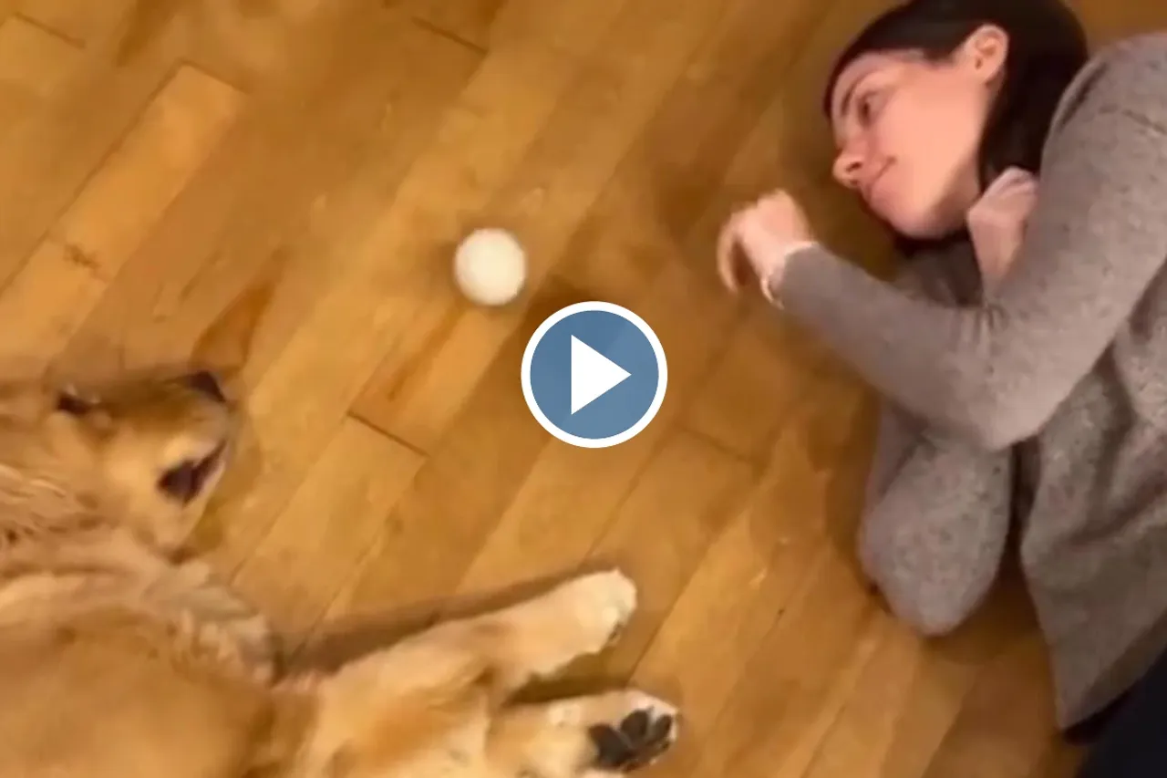 Viral Video