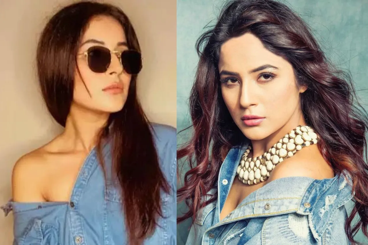 Shehnaaz Gill Net Worth