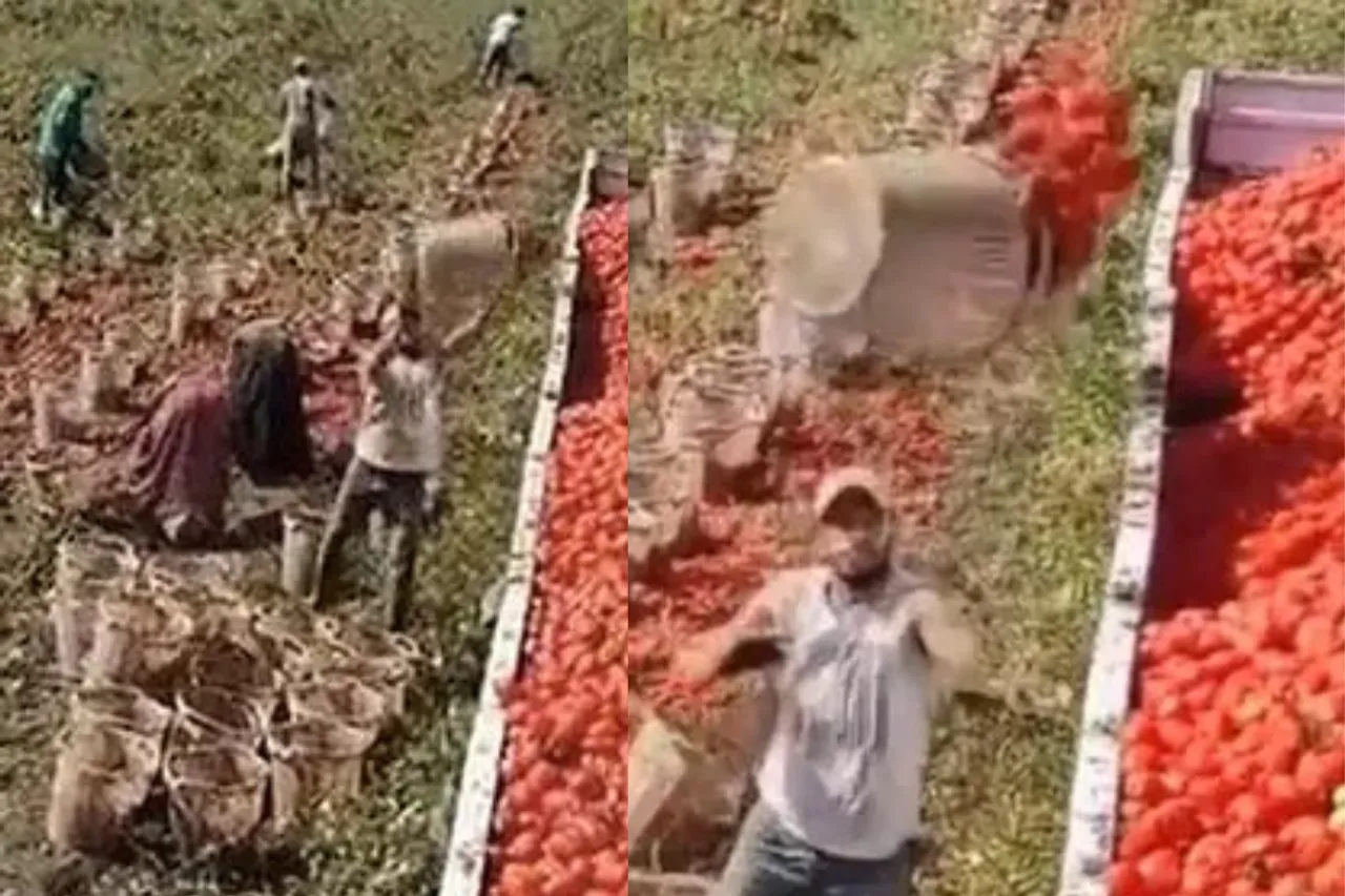 Viral Video
