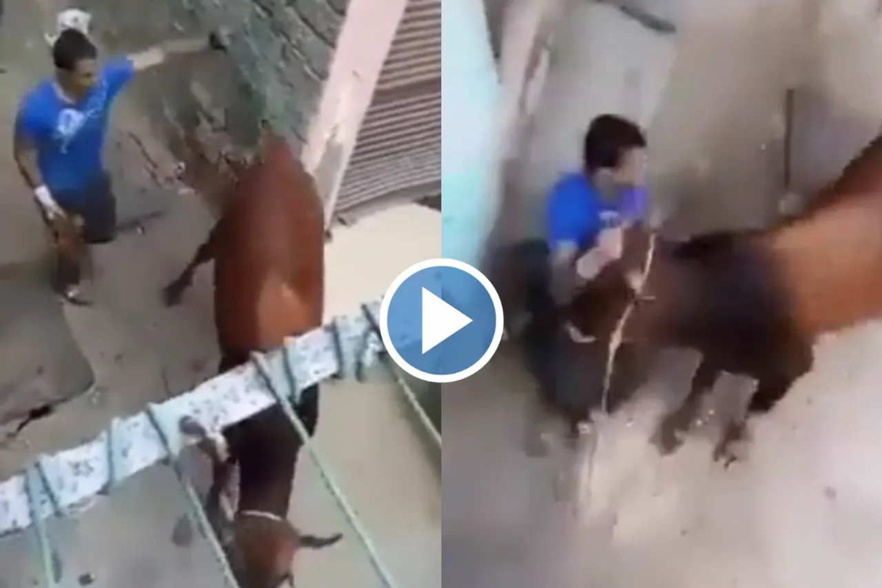 Viral Video