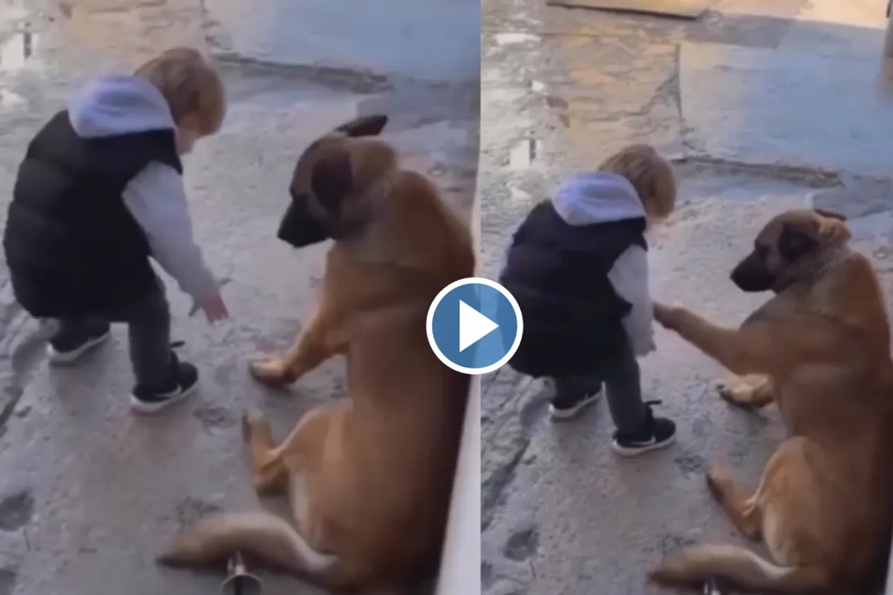 Viral Video