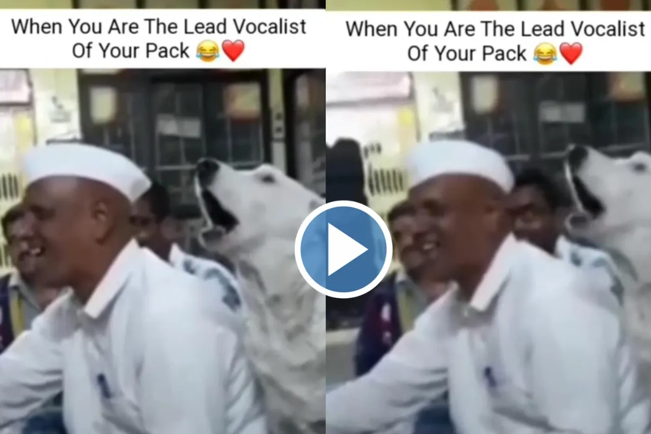Viral Video
