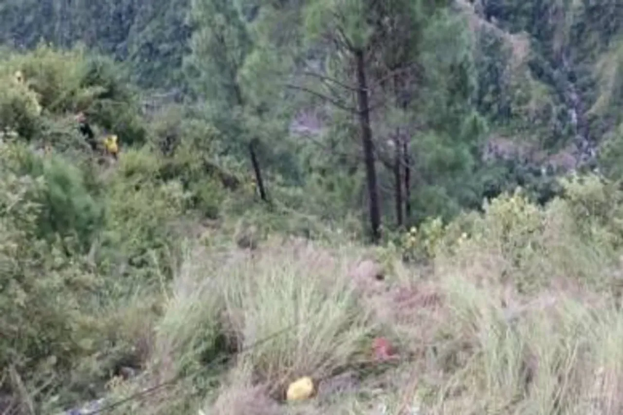 Pauri
