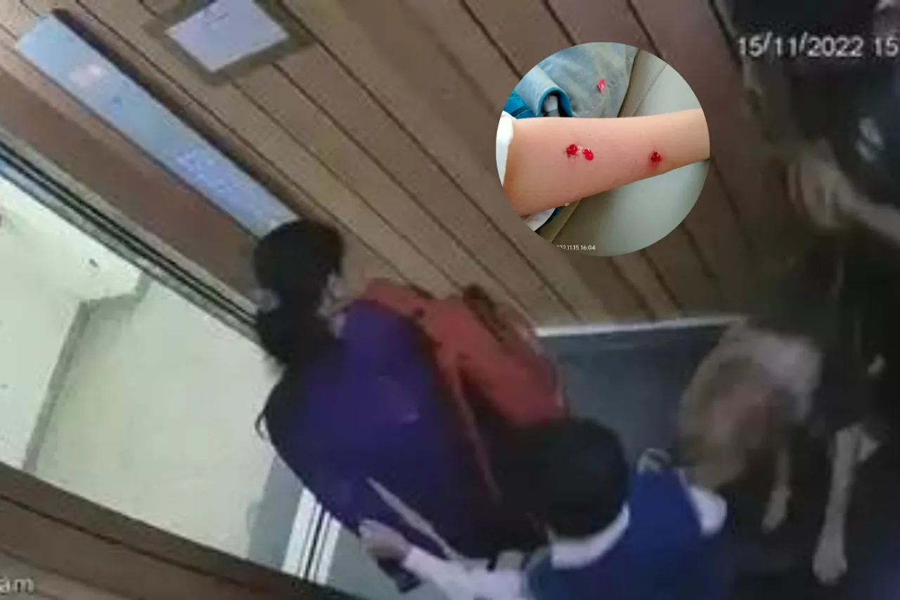 Viral Video