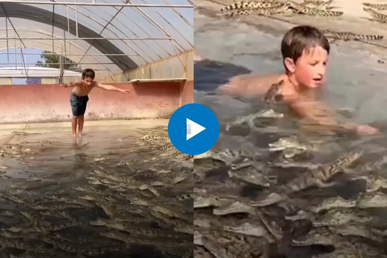 Viral Video