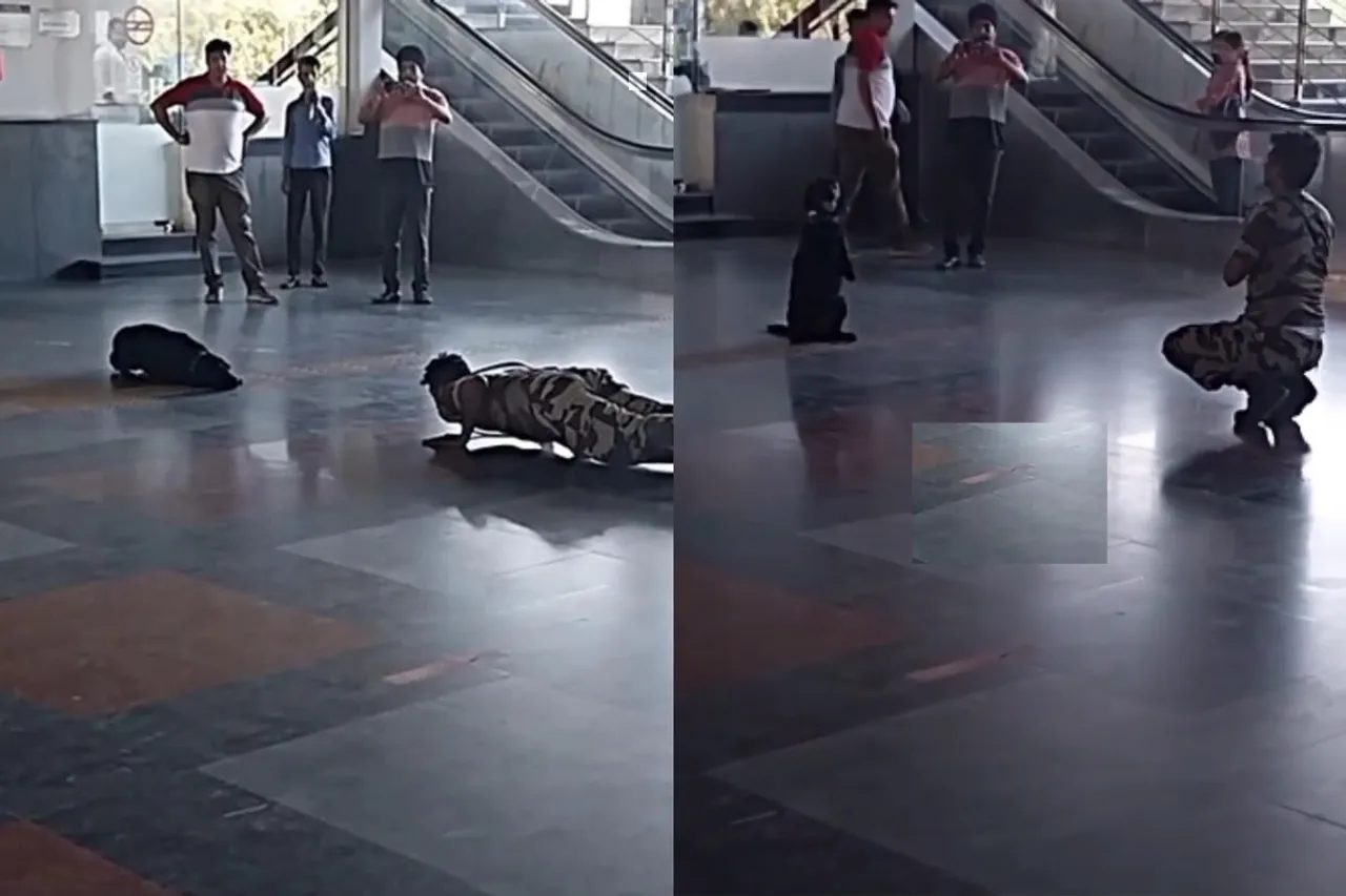 Viral Video