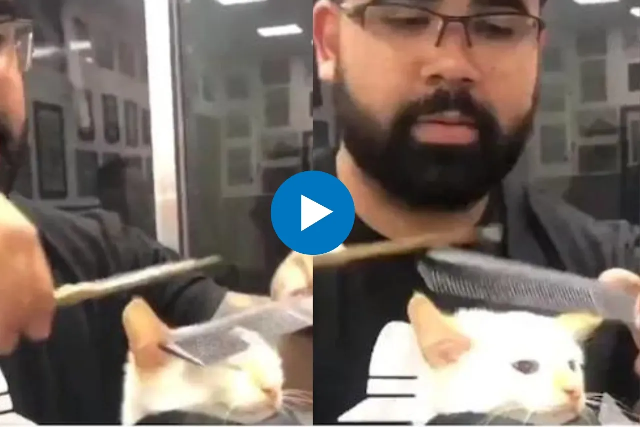 Viral Video