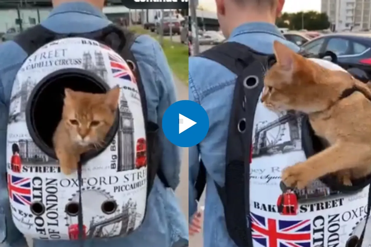 Viral Video