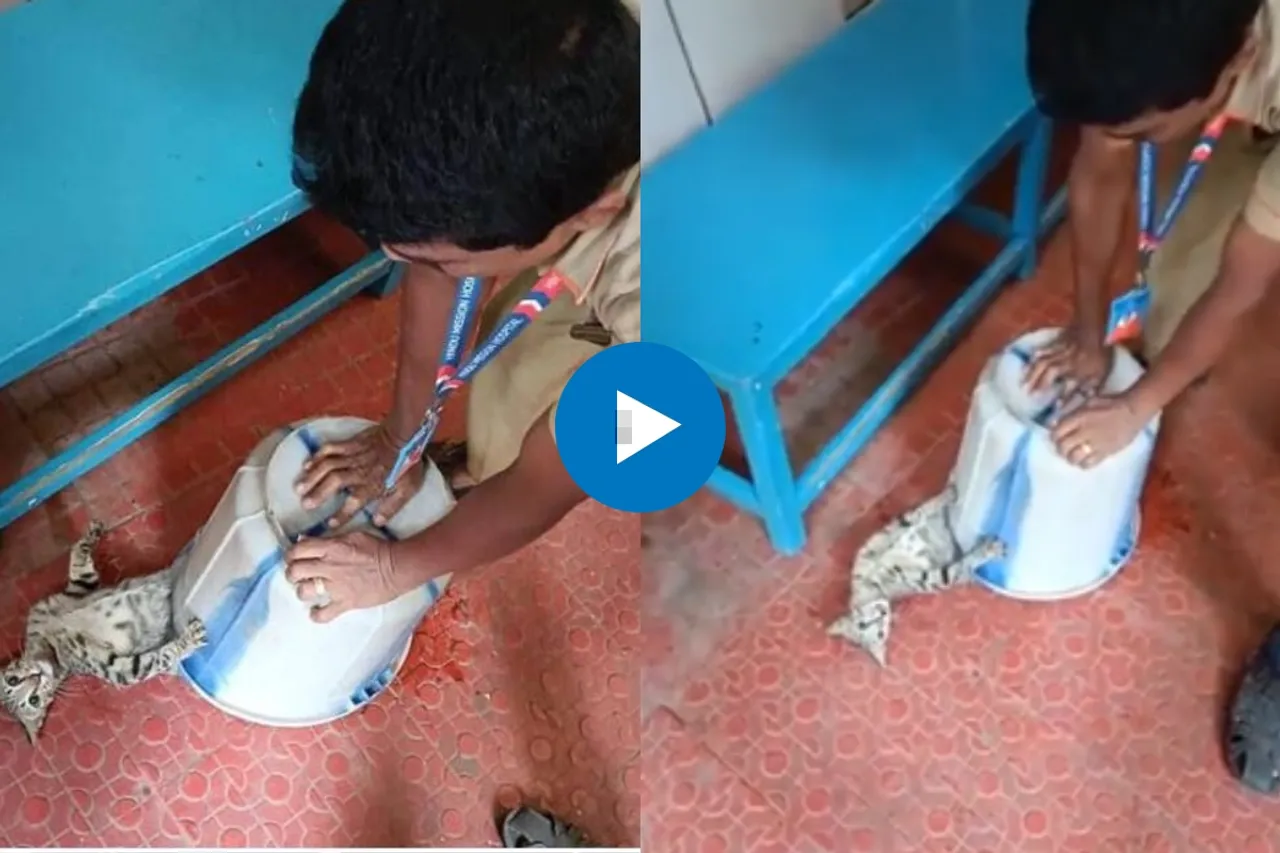 Viral Video