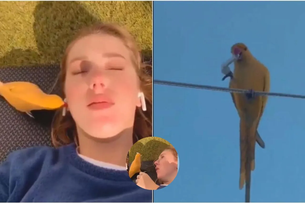 Viral Video