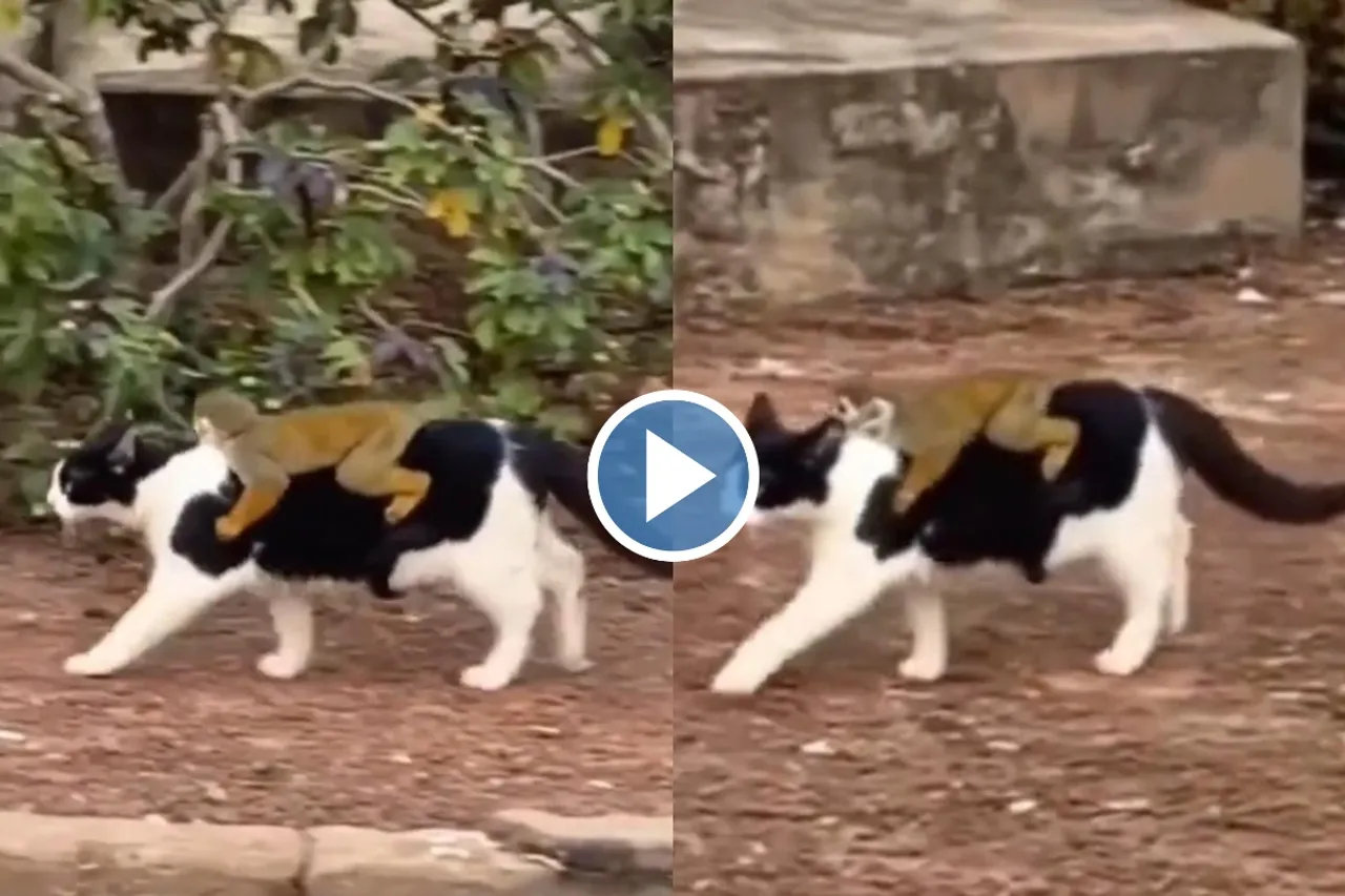 Viral video