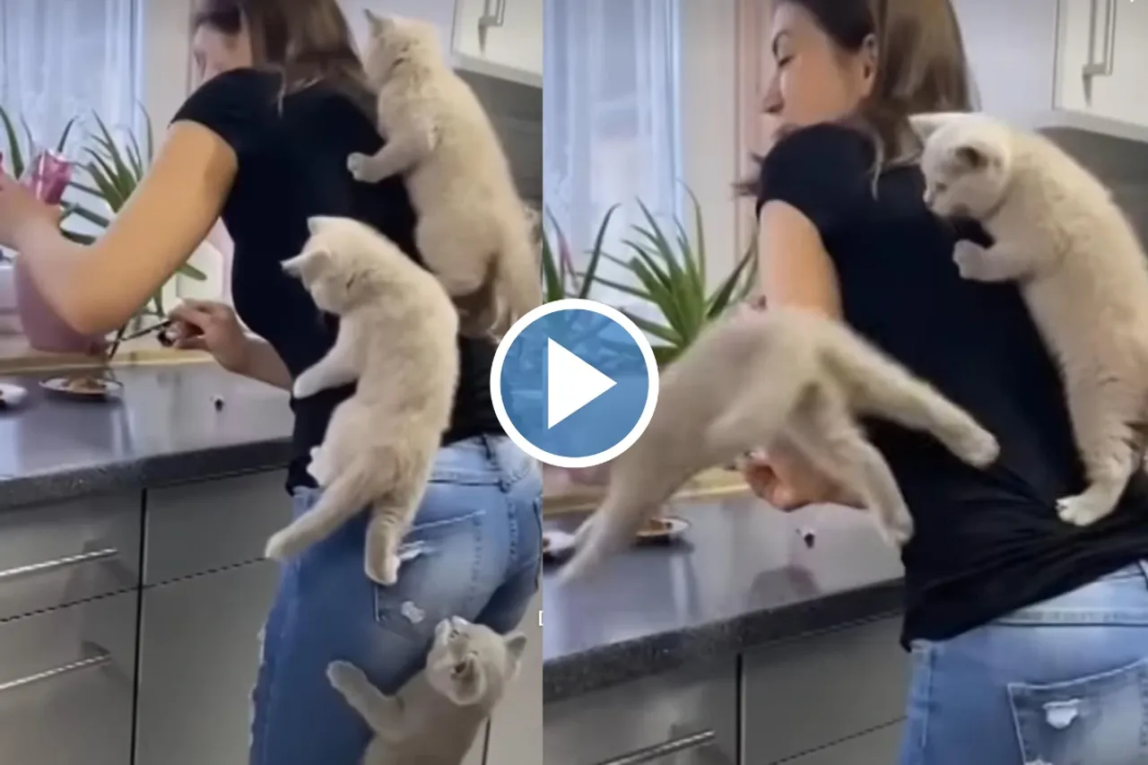 Viral Video