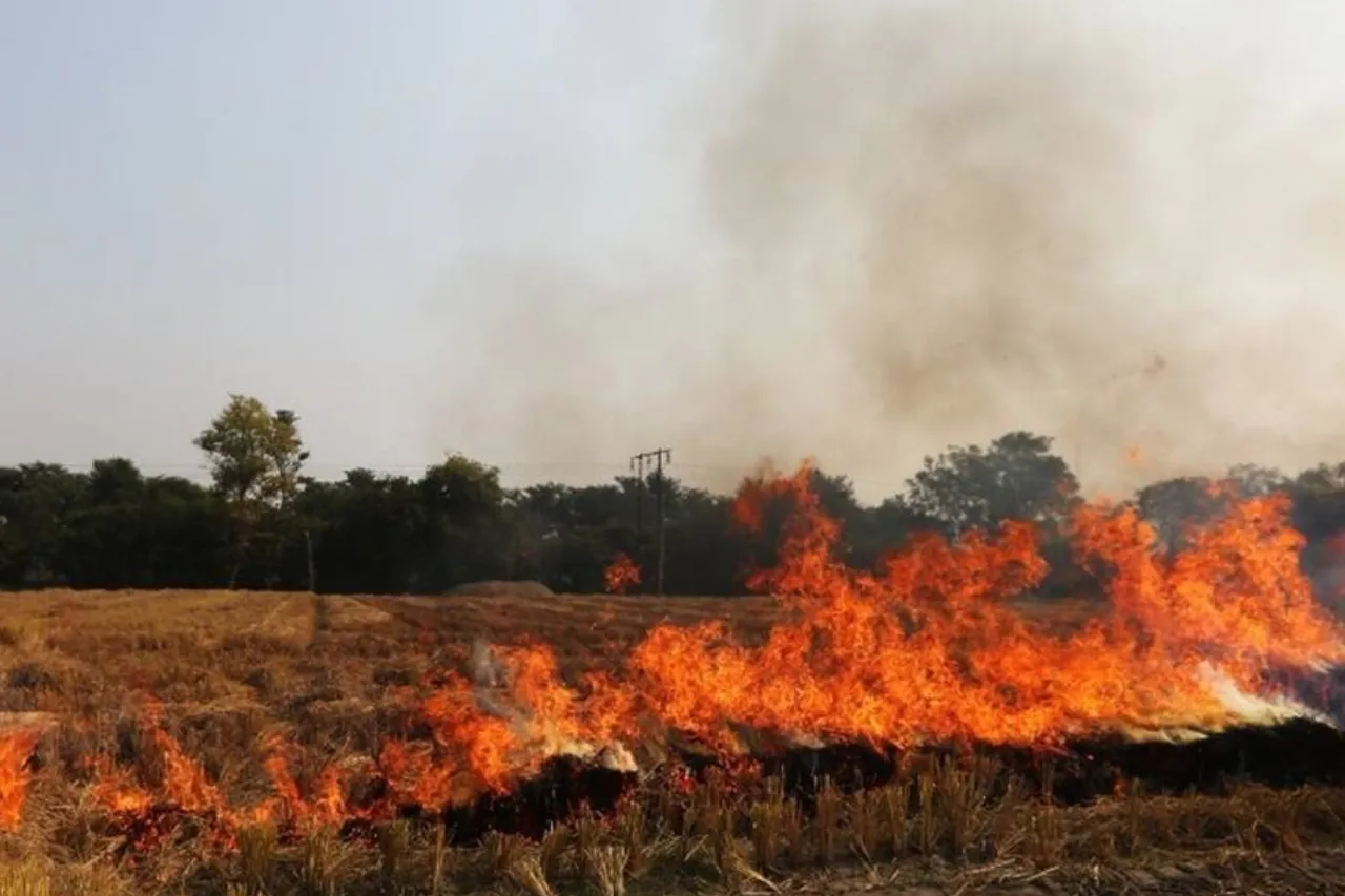 Punjab