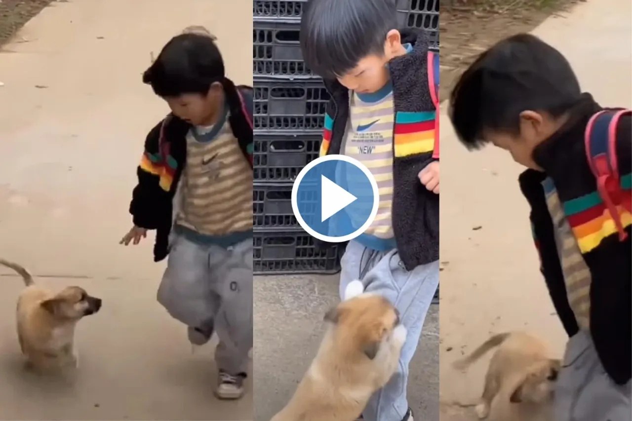 Viral video