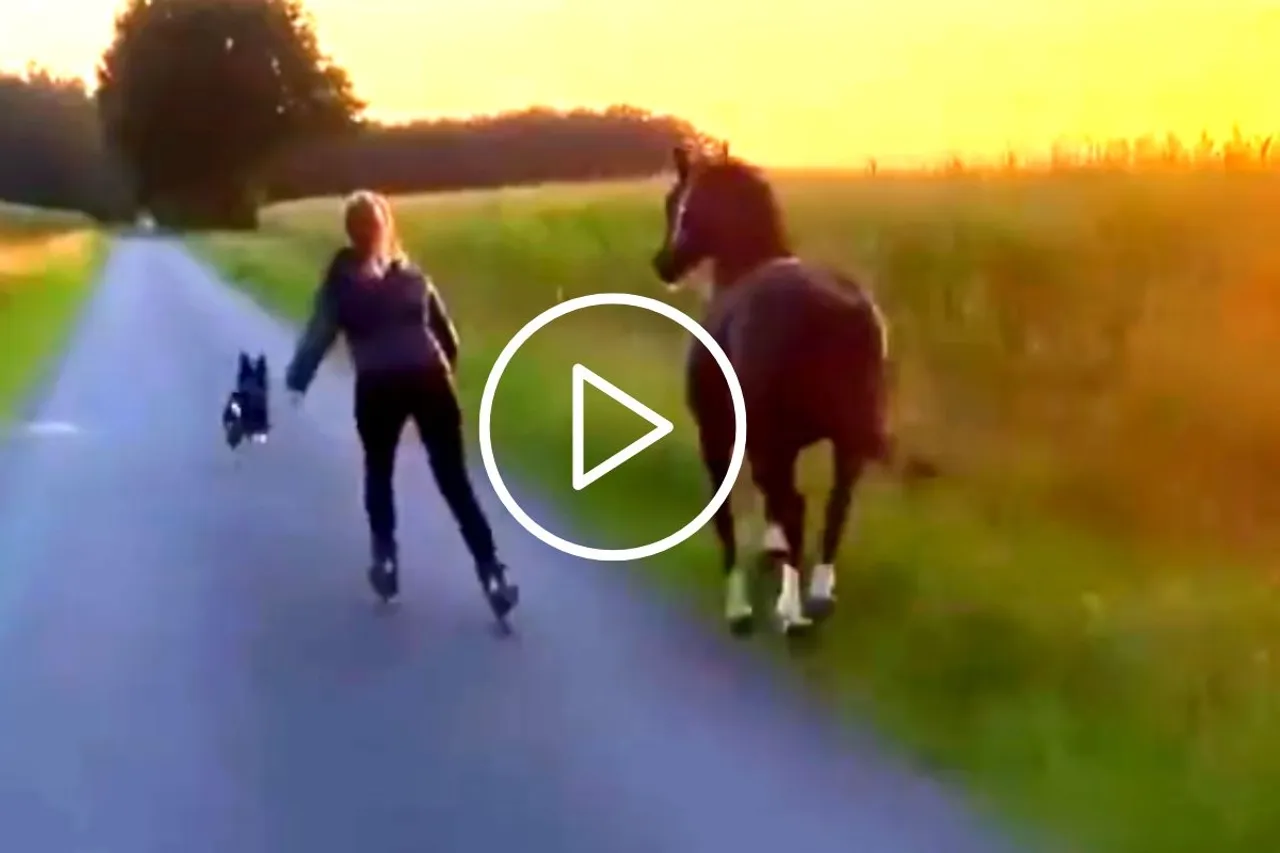 Viral Video