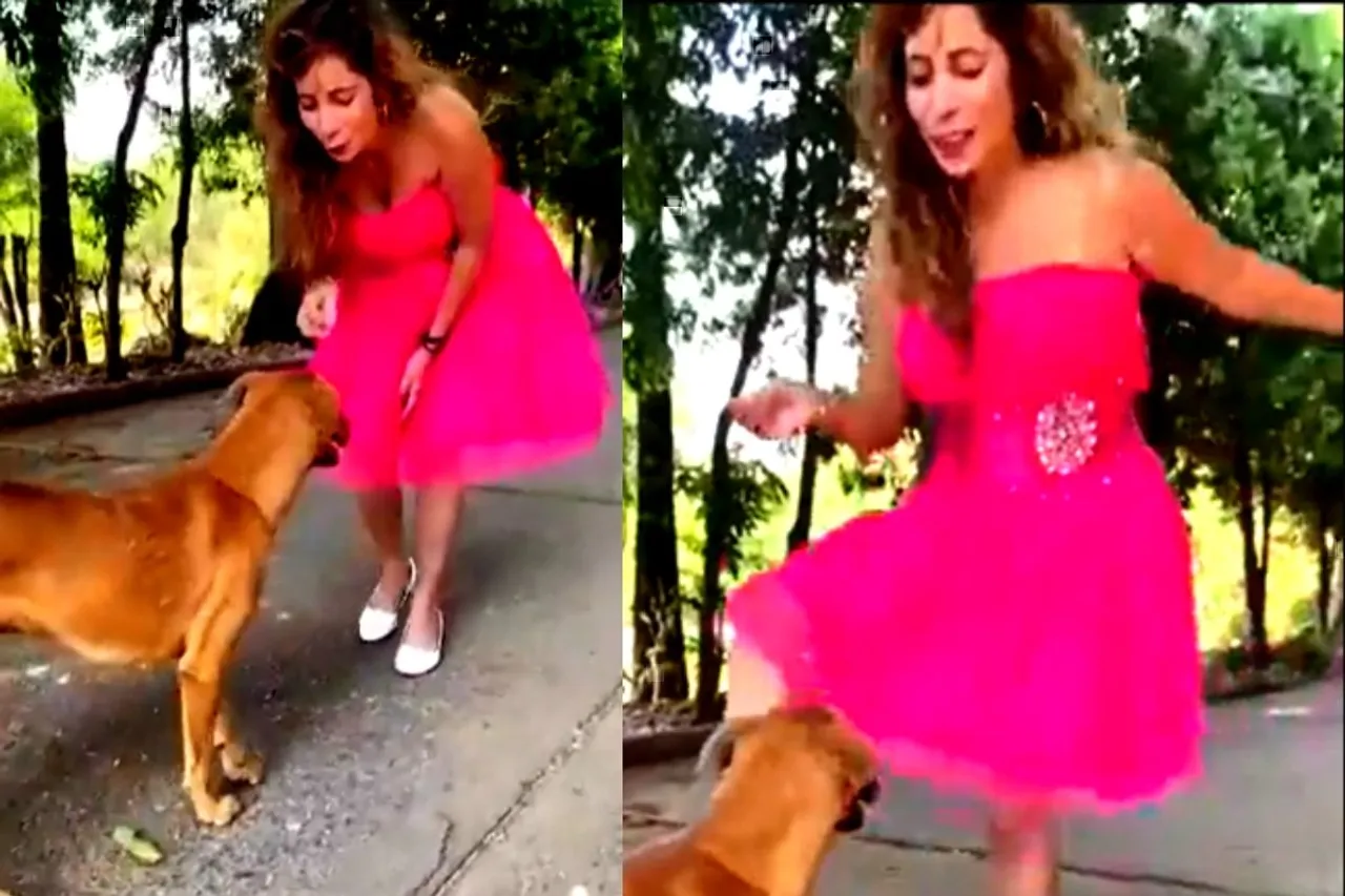 Viral Video