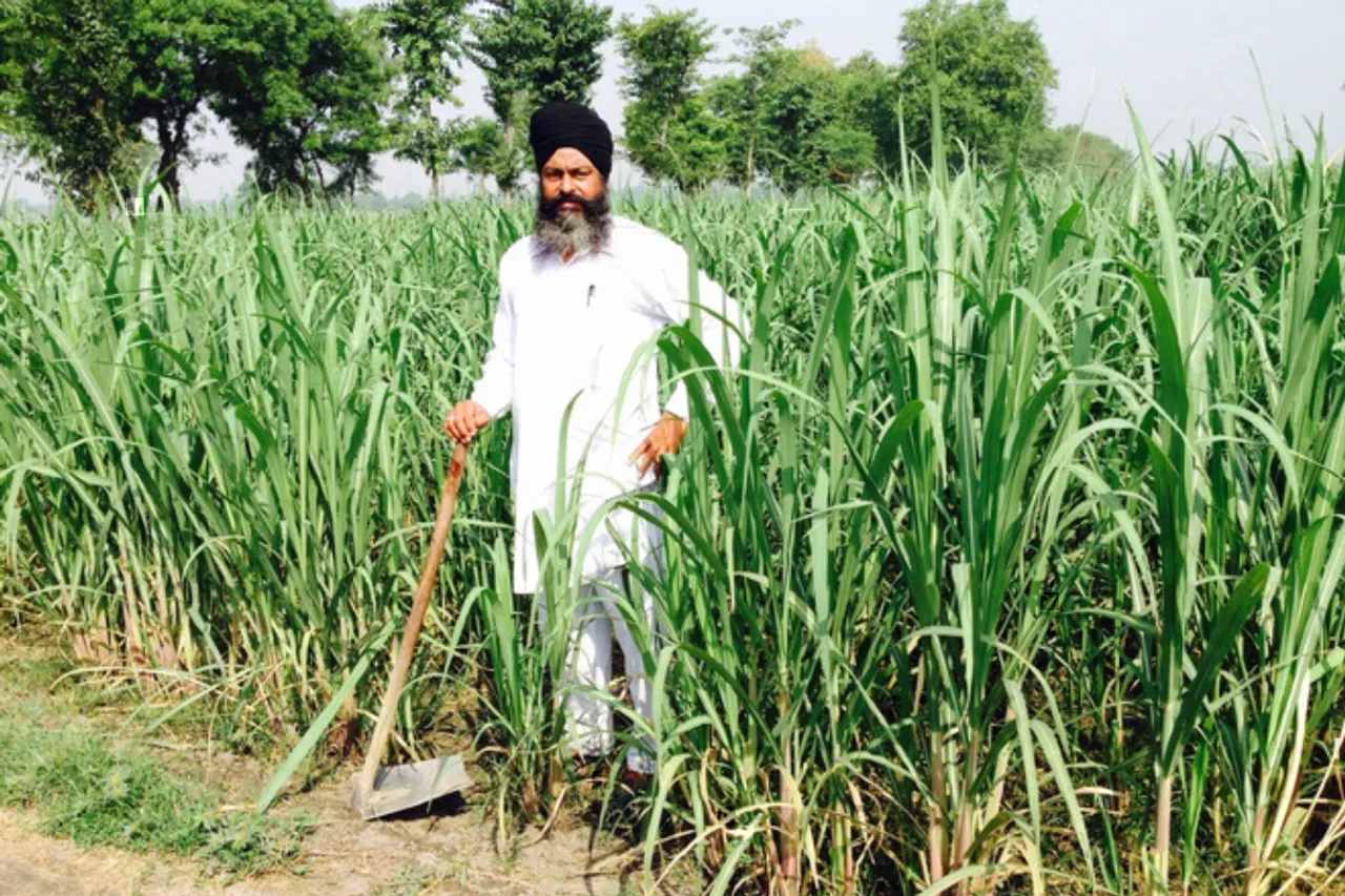 Sangrur farmers
